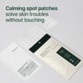 thumbnail image 2 of Hidrocoloide Spot Pyunkang Yul PKY Calming Clear 145, 2 of 9