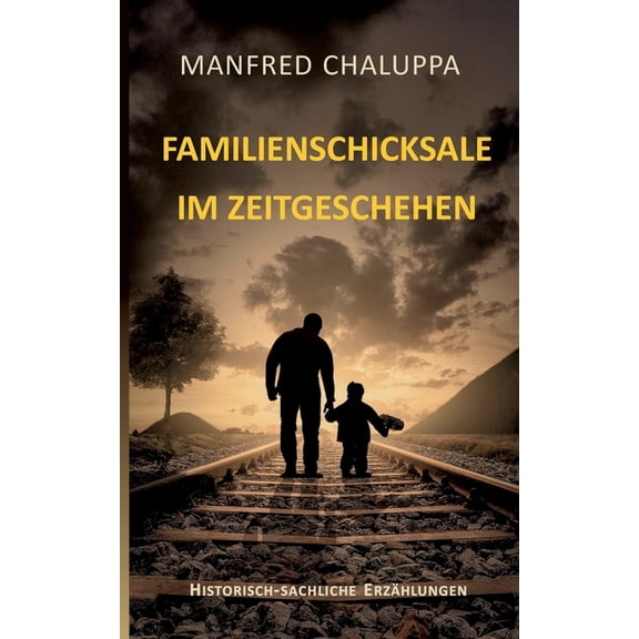 Familienschicksale im Zeitgeschehen, (Paperback)