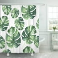 thumbnail image 1 of Cortina de Ducha ABPHQTO Hoja Tropical Hawaii en poliéster 160x180 cm Decoración de Baño, 1 of 3