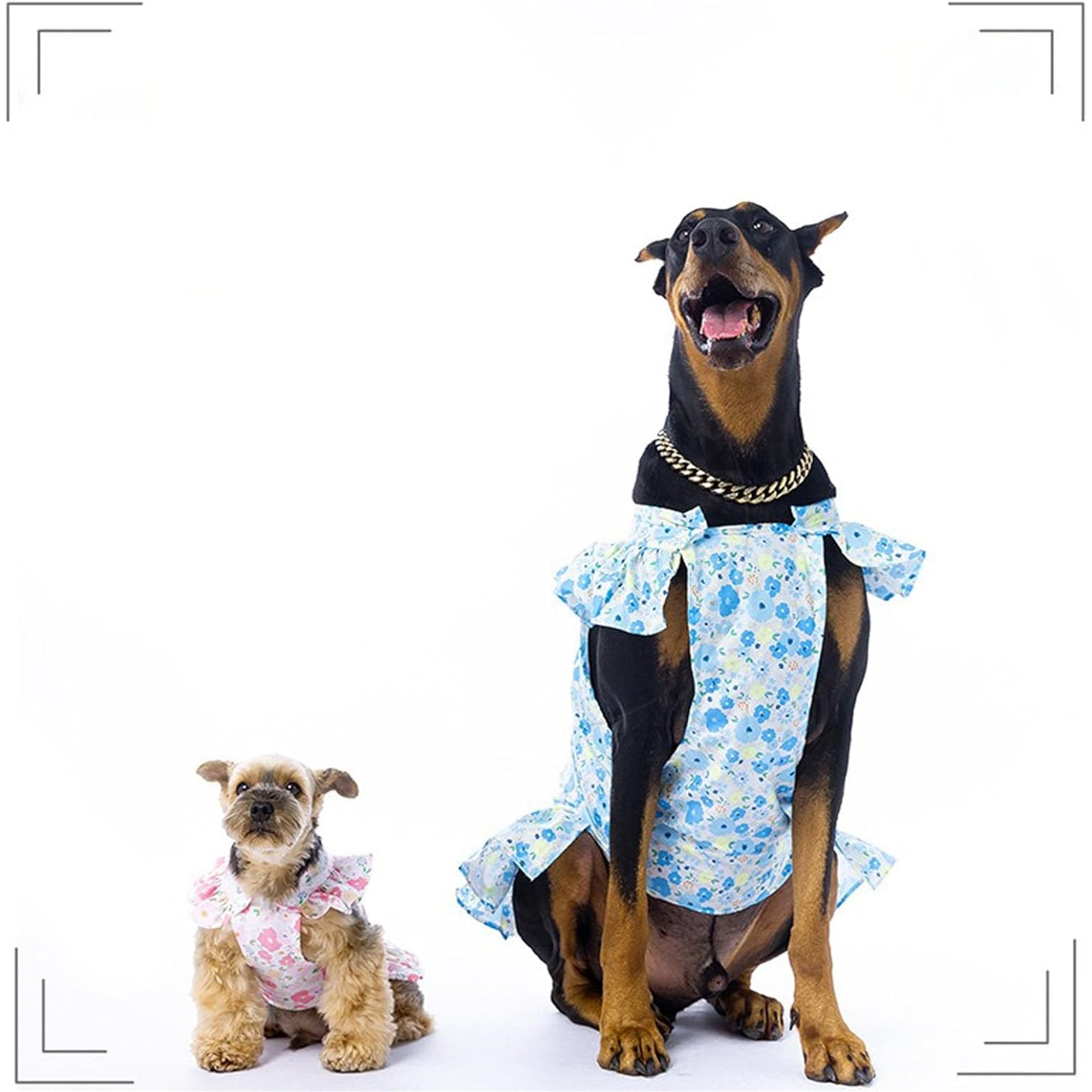 UOSIA Dog Dresses for Large Dogs Girl Cute Floral Puppy Dresses Pet Cat Princess Costume,8XL,Blue