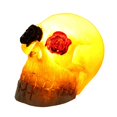 thumbnail image 3 of Estatua De Calavera Con Resina Ligera Calavera De Simulación Esqueleto Vívido Calavera Diversión Calavera De Halloween Flor Decoración De Halloween Para Halloween matsuzay HA015733-00, 3 of 7