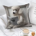 thumbnail image 7 of YingYouFu Easter Print Throw Pillow Home Decorative Throw Pillow Covers Outdoor Home Decor for gifts for kids ,Soft Decorative Cushion Case for Sofa Couch, 7 of 7