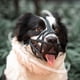 thumbnail image 3 of Mascarilla para perro Zulema bozal de perros transpirable ligera para boca de perro, 3 of 8