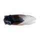thumbnail image 1 of Pegatinas para insectos en la tapa del aceite del coche, 1 of 4