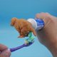 thumbnail image 2 of Hilarious Golden Retriever Puppy Poop Toothpaste Dispenser, Funny Toothpaste Dispenser, Pooping Dog Butt Toothpaste Topper, Golden Retriever Poop Toot, 2 of 5