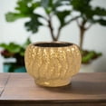 thumbnail image 6 of Bella Stoneware Gold Pot, 6 of 10