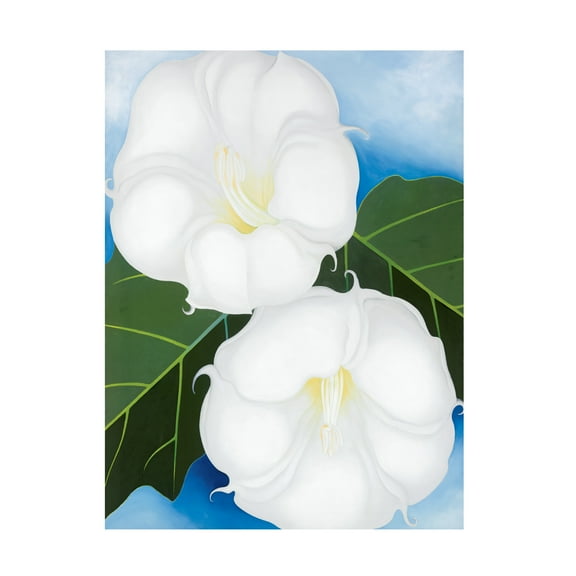 Trademark Fine Art Georgia O'Keefe Two Jimson Weeds Canvas Wall Art - 14x19