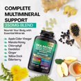 Remingo Sea Moss (Black Seed Oil, Turmeric, Ashwagandha, Ginger