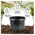 thumbnail image 3 of Pro Cal 10 Gallon Premium Nursery Plastic Planter Flower Vegetable Garden Grow Pots with Drainage Holes for Outdoor and Indoor Use, Black, 5 Pack, 3 of 7