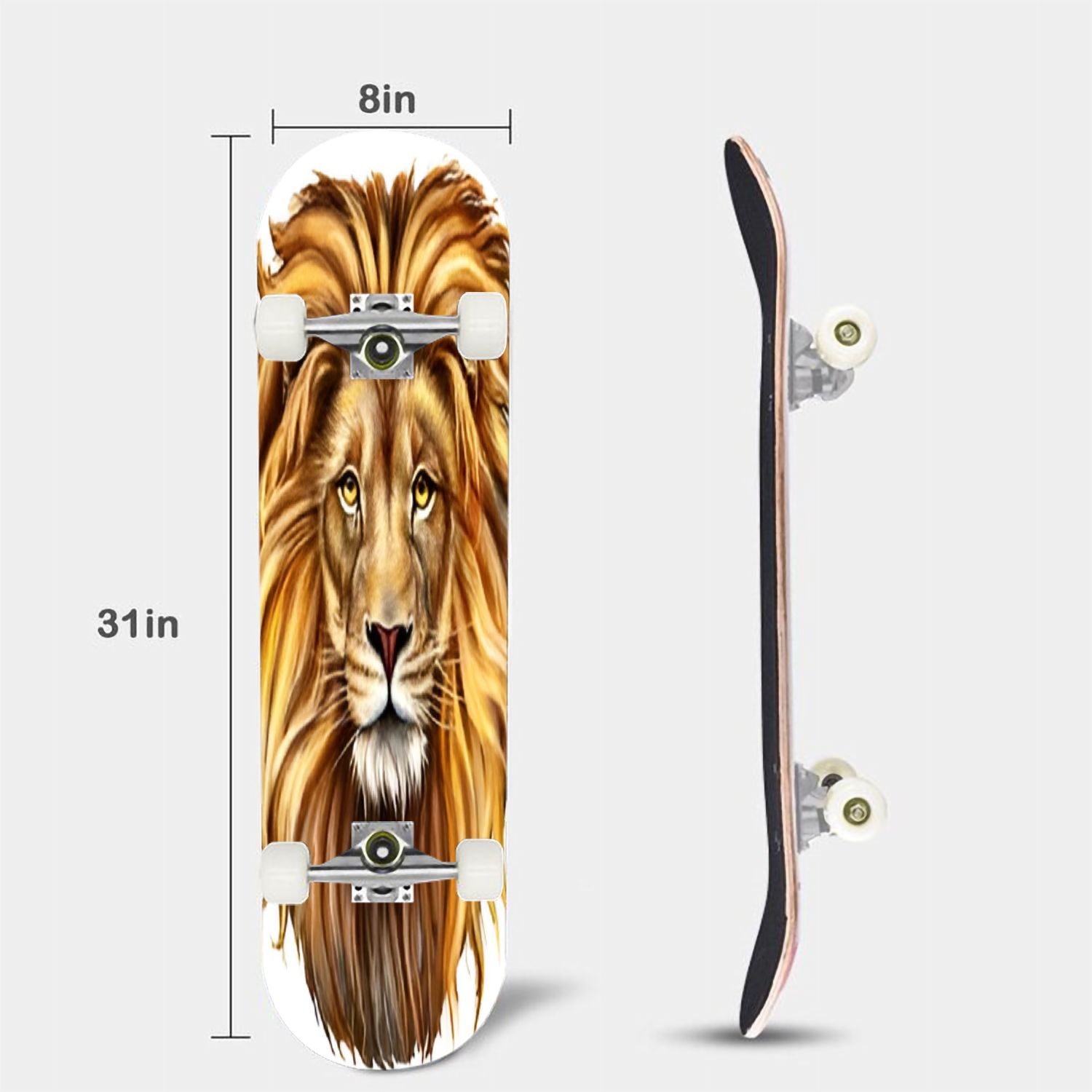 Skateboards lion head lion head front Maple Double Kick