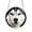 Dog, variant on Yardvibe Acrylic Puzzle Suncatcher, 7.4" Animals Sun Catchers Puzzle, DIY SunCatchers Puzzles Window Hanging for Adults, Home & Garden Decor (Squirrel)