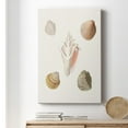 thumbnail image 6 of Pastel Knorr Shells IX Premium Gallery Wrapped Canvas - Ready to Hang, 6 of 9