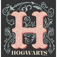 thumbnail image 2 of Men's Harry Potter Decorative Hogwarts Symbol Graphic Tee Charcoal Heather 2X Large, 2 of 5