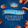 thumbnail image 5 of Blue Diamond Almonds, Roasted Salted Flavored Snack Nuts Perfect for Snacking, 14 oz, 5 of 7