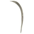 thumbnail image 2 of Vickerman 24-30" White Wash Palm Paddle. Includes 3 Paddle per Pack, Dried, 2 of 5