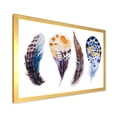 thumbnail image 2 of Designart 'Colourful Boho Feather Set On White VIII' Bohemian & Eclectic Framed Art Print, 2 of 4