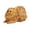 Brown, variant on Twinkseal Stable Pet Figurine Simulation Pomeranian Dog Model Realistic Look Crafts Ornament Solid Plastic Pet Figurine for Home Office Car Cabinet Decoration