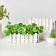thumbnail image 5 of Maceta artificial para suculentas – Maceta decorativa de plástico para jardín interior y exterior, patio, balcón o como elemento decorativo., 5 of 6
