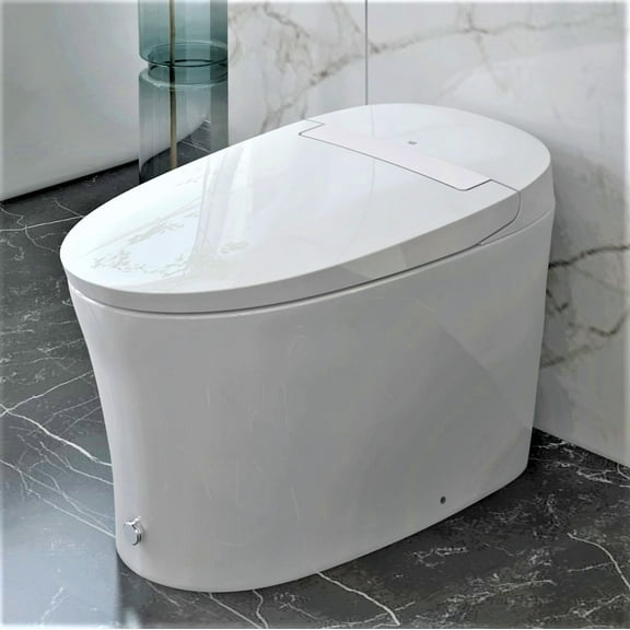 R&T W5100S Smart Toilet Tankless Auto Flush 1.28-GPF Battery Operated Elongated One-Piece Rimless Ceramic