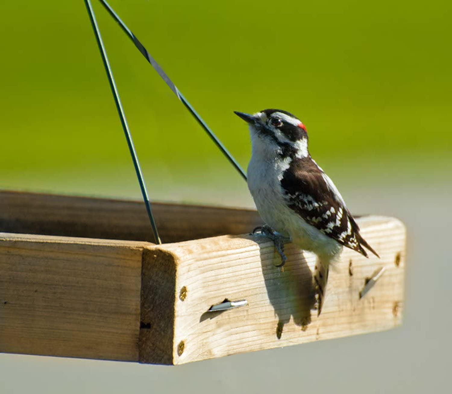 Eactive Premium Cedar Platform Tray Bird Feeder with Removable Rust-Free Tray and Cable, all Season Bird Feeder