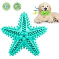 thumbnail image 1 of Juguete masticable para perros oso de fresa cepillo de dientes goma natural azul lago, 1 of 6