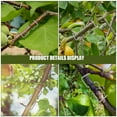 thumbnail image 3 of KONTONTY 1 Set Tree Branch Spreader Galvanized Wire for Gardeners, 3 of 7