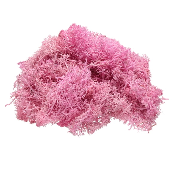 Uxcell Preserved Reindeer Moss, 4 oz Fake Moss for Crafts Artificial Dried Moss (Rose Red)