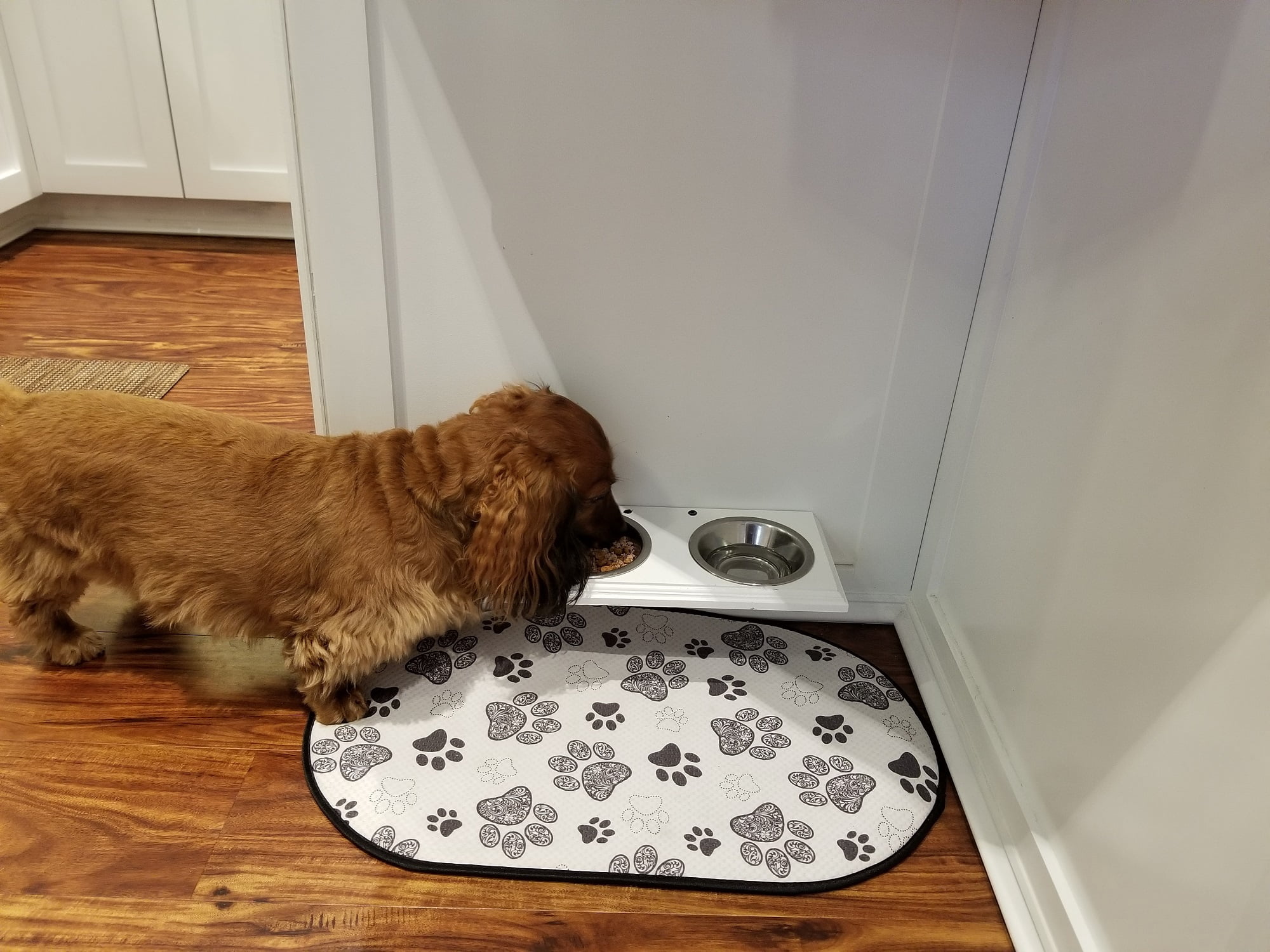 Cronus Quart Three Bowl Unfinished Wood Pet Food Holder