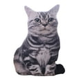 thumbnail image 2 of simhoa 3D Simulation Chat Peluche Peluche Animal Oreiller Mignon Coussin Câlins Poupée Style A, 2 of 8