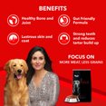 thumbnail image 2 of Drools Focus Nourriture pour Chiens Adulte Super Premium, 1.2kg, 2 of 5