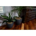 thumbnail image 4 of XBrand Modern Nested Black Round Flower Pot Planter, Set of 2 Different Sizes, 14 Inch & 12 Inch Tall, 4 of 11