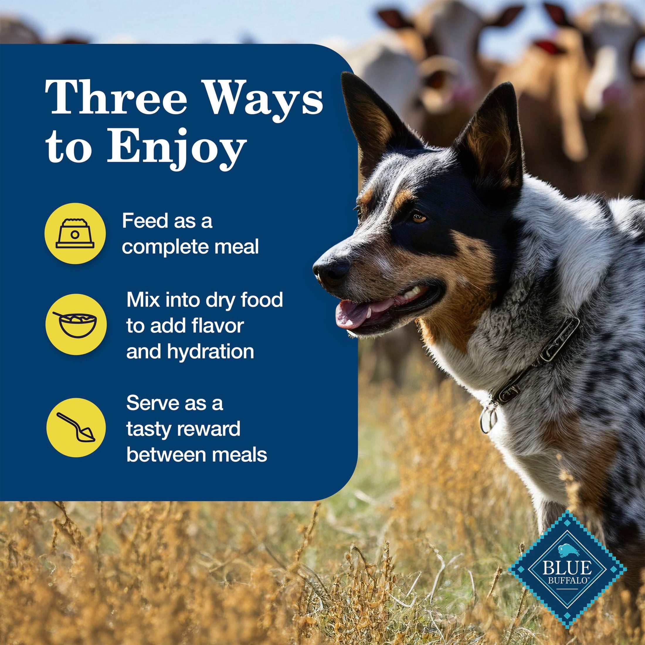 Blue Buffalo Homestyle Recipe Healthy Weight Adult Wet Dog Food, Chicken, 12.5oz. Can