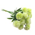 thumbnail image 6 of AFQH 12Pcs Artificial Flowers Dandelion Plastic Bundle Fake Flowers Decor for Wedding, 6 of 10