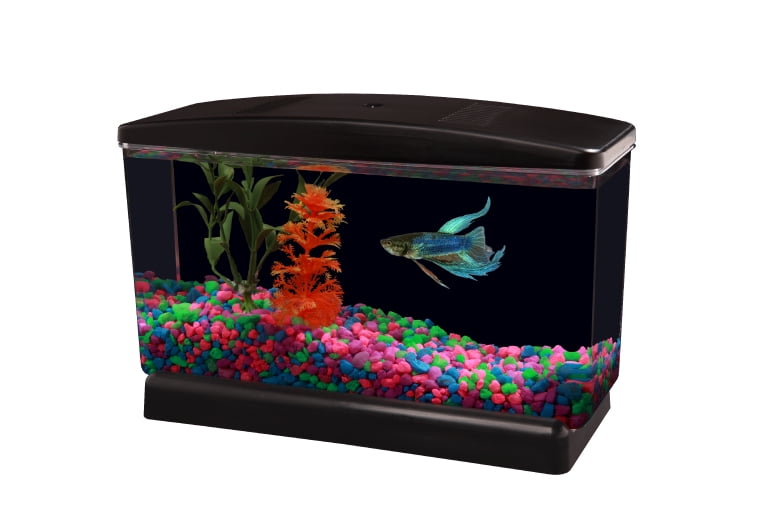 Featured image of post Fish Tank Center Table / We&#039;re an authorized dealer of unique fish tank brand midwest tropical.