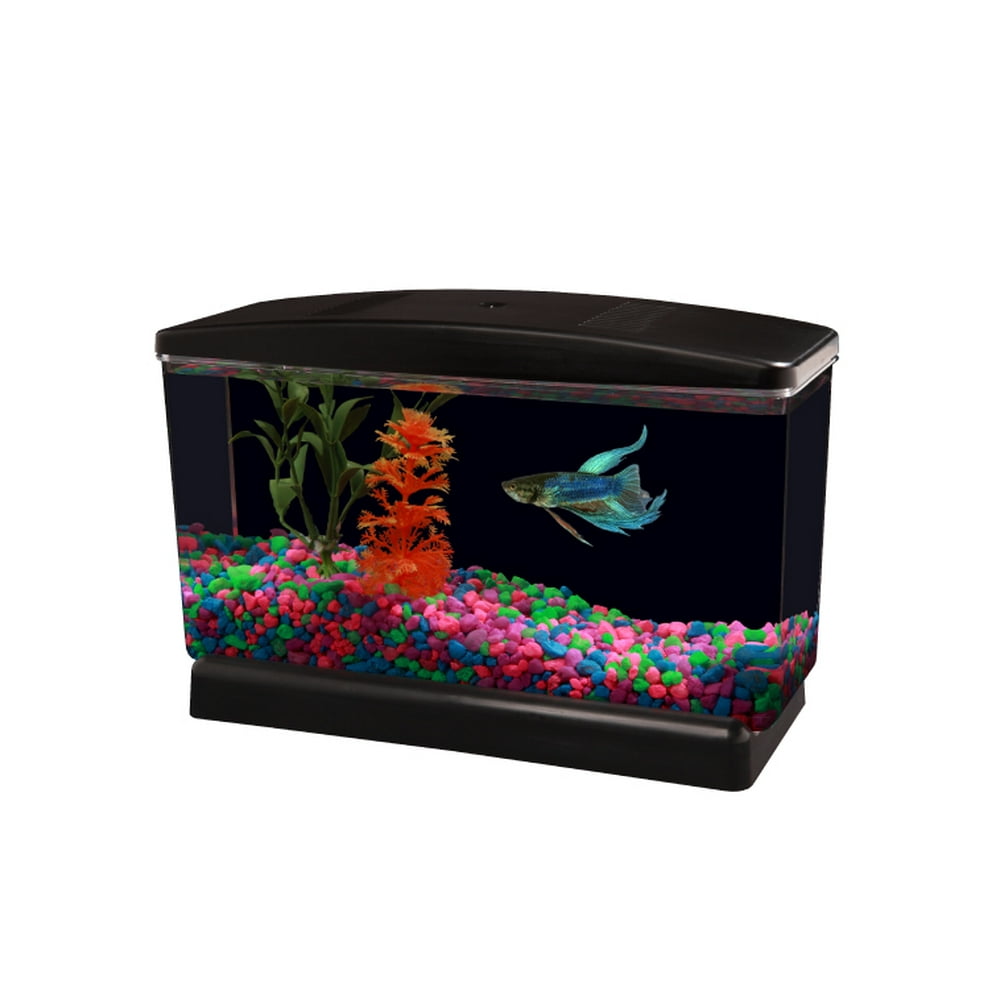 Aqua Culture Betta View Half Gallon Fish Tank with Base
