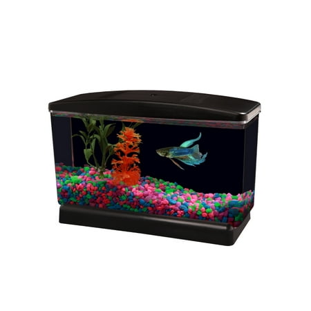 Aqua Culture Betta View Half Gallon Fish Tank with (Best Pet Fish For Small Bowl)