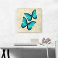 thumbnail image 2 of ARTCANVAS Two Blue Butterfly Wings Insect Tan Canvas Art Print - Size: 18" x 18" (0.75" Deep), 2 of 9