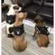 thumbnail image 3 of Pechera K9 Reforzada Para Pitbull Nombre Y Correa De Regalo, 3 of 8