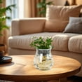 thumbnail image 4 of Modern Flower Vase, Transparent Flower Pots Plastic Vase Floor Vase Living Room Home Small Bottle Ornaments Office Hydroponic Flower Arranger, Ideal for Pampas Grass Dried Flowers Home Centerpiece, 4 of 6