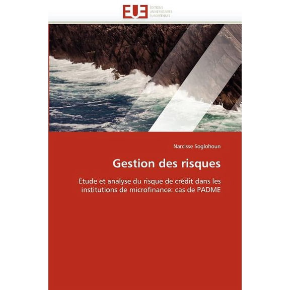 Gestion Des Risques (Paperback)