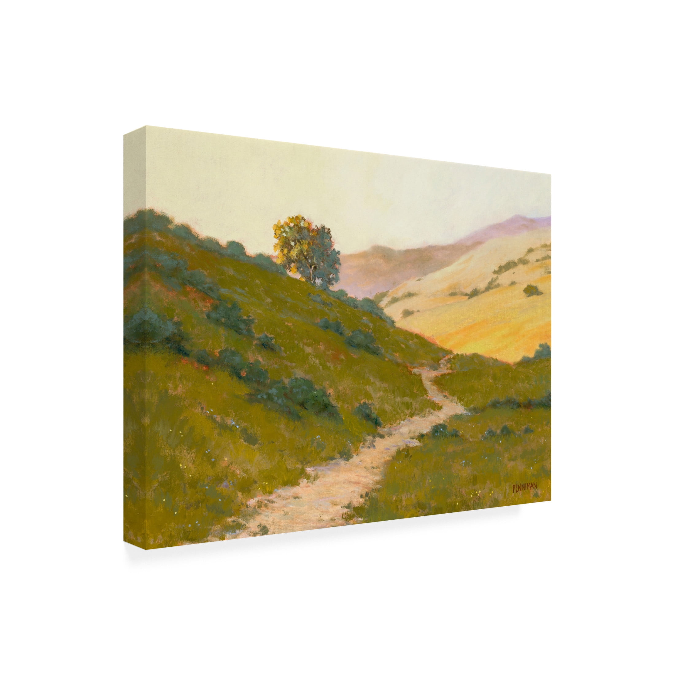 Canvas Wall Art - Ed Penniman 'Opalescent Hills' Wall Art for Living Room, Bedroom, or Office Décor by Trademark Fine Art - 47 x 35 Inches