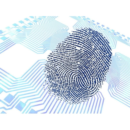 Biometric Fingerprint Scan, Artwork Print Wall Art By