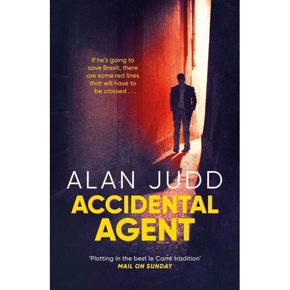 Pre-Owned Accidental Agent (Paperback) 1471150682 9781471150685