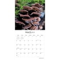 thumbnail image 3 of Magic Mushrooms 2024 Square Brush Dance (Calendar), 3 of 8
