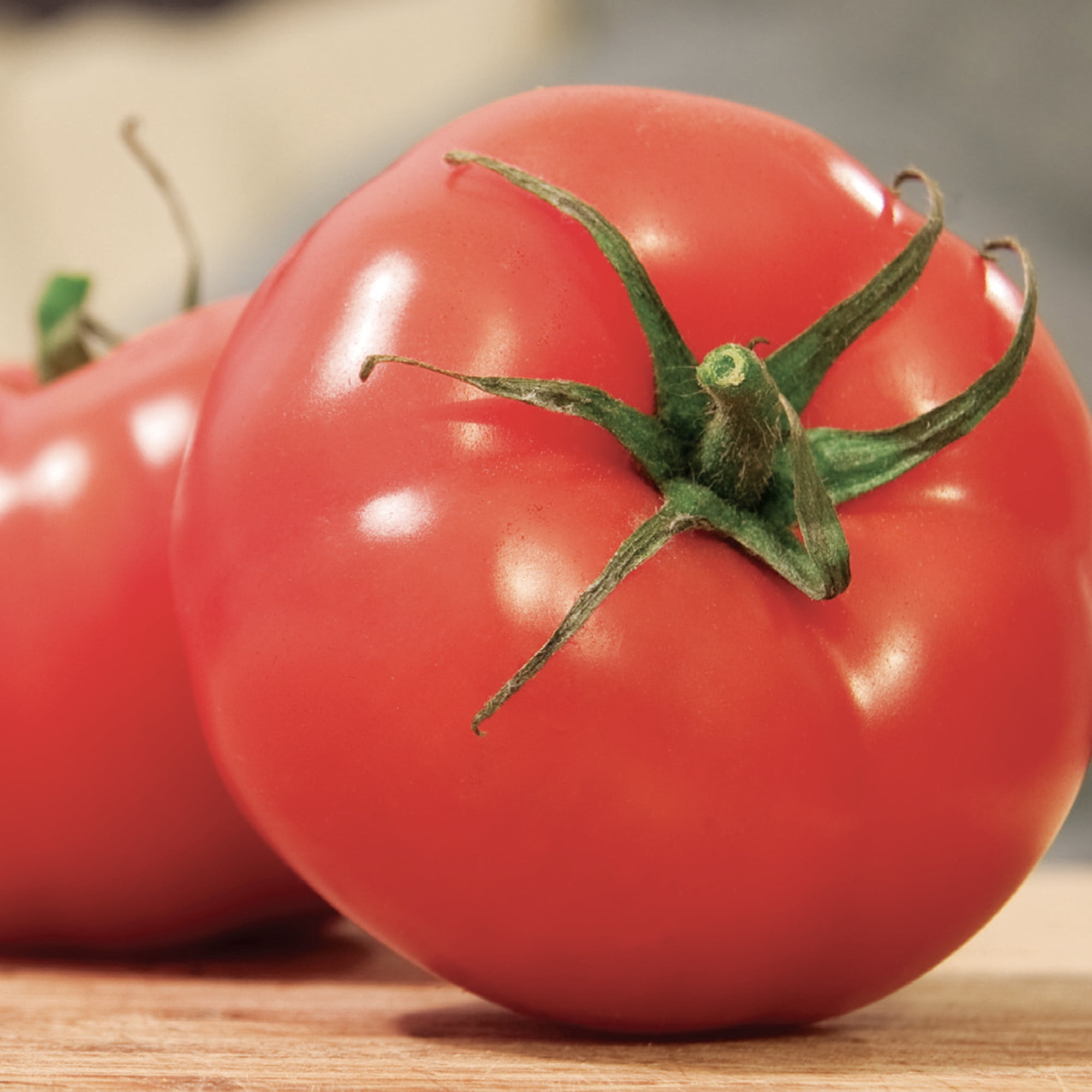 American Seed Tomato Oregon Spring Annual Vegetable Seeds Full Sun