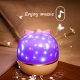 thumbnail image 4 of Luz nocturna de proyección multifunción, proyección + luz nocturna + música, carga USB para niños Luz de dormitorio giratoria romántica estrellada para niños Dormitorio de bebé Ormromra FLD-3432, 4 of 8