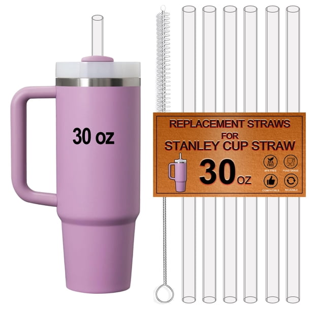 Pajitas de repuesto para vaso Stanley de 30 onzas, paquete de 6 unidades, color Tritan Clear