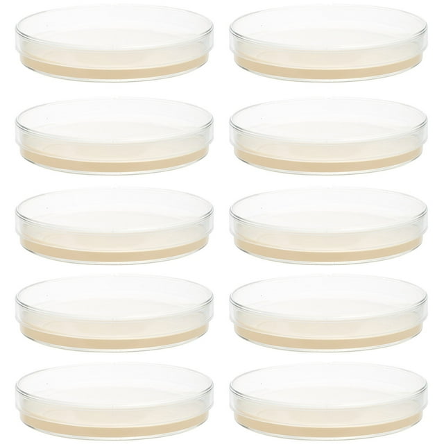 10pcs Prepoured Agar Plates Petri Dishes with Agar Science Experiment