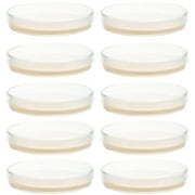 Nutrient Agar Plate Glass Lab Science Experiment Child 10 Pcs Potato Toys Tool Supplies The Little Learner