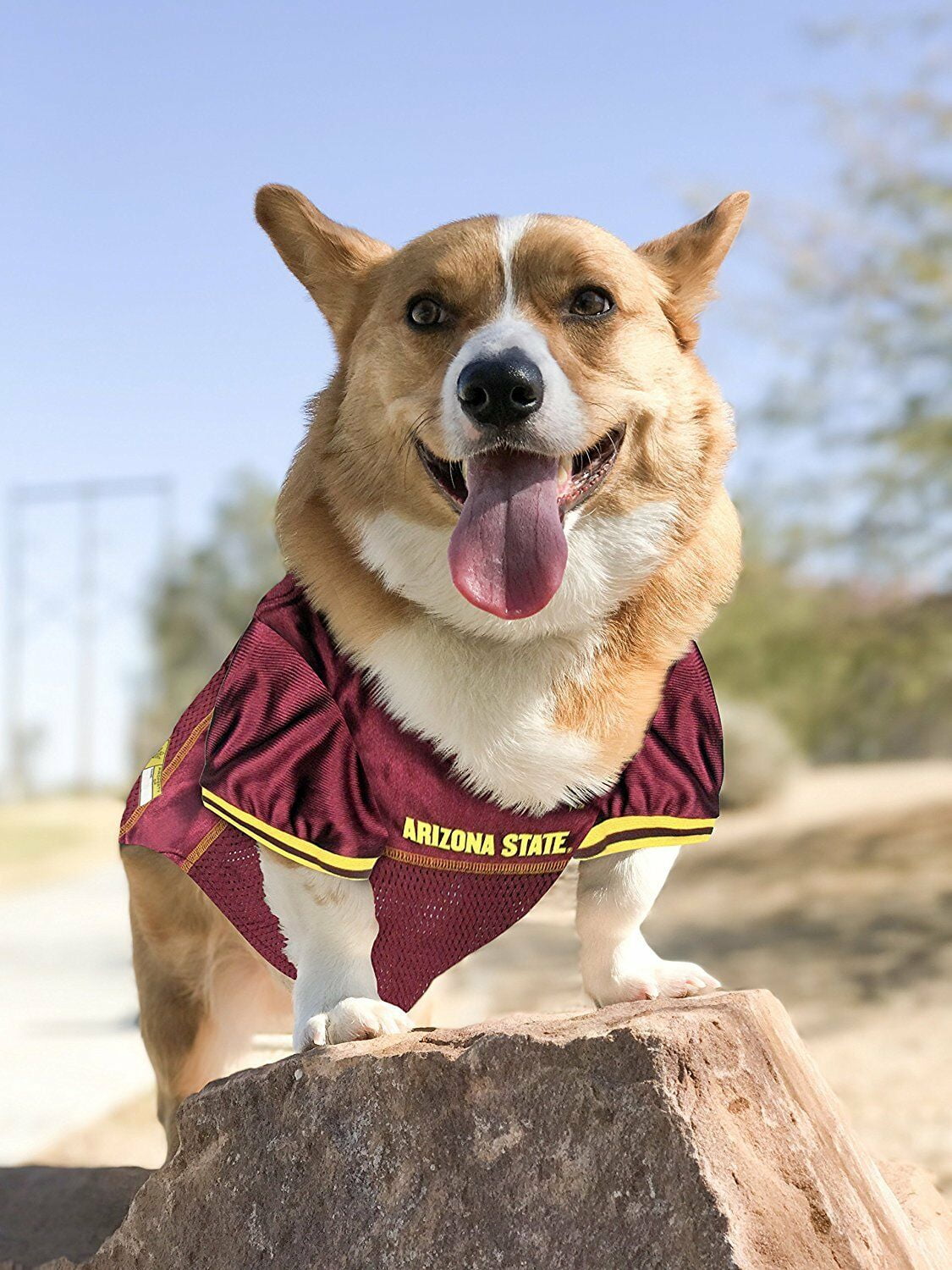 Pets First Collegiate Arizona State Sun Devils Football/Basketball Mesh Jersey for Pet Dog. available in 40+ Teams - Extra Large